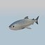 Fisch Thunfisch stilisiert 3D-Modell