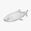 Fisch Thunfisch stilisiert 3D-Modell