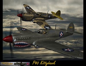 P40 Kittyharwk