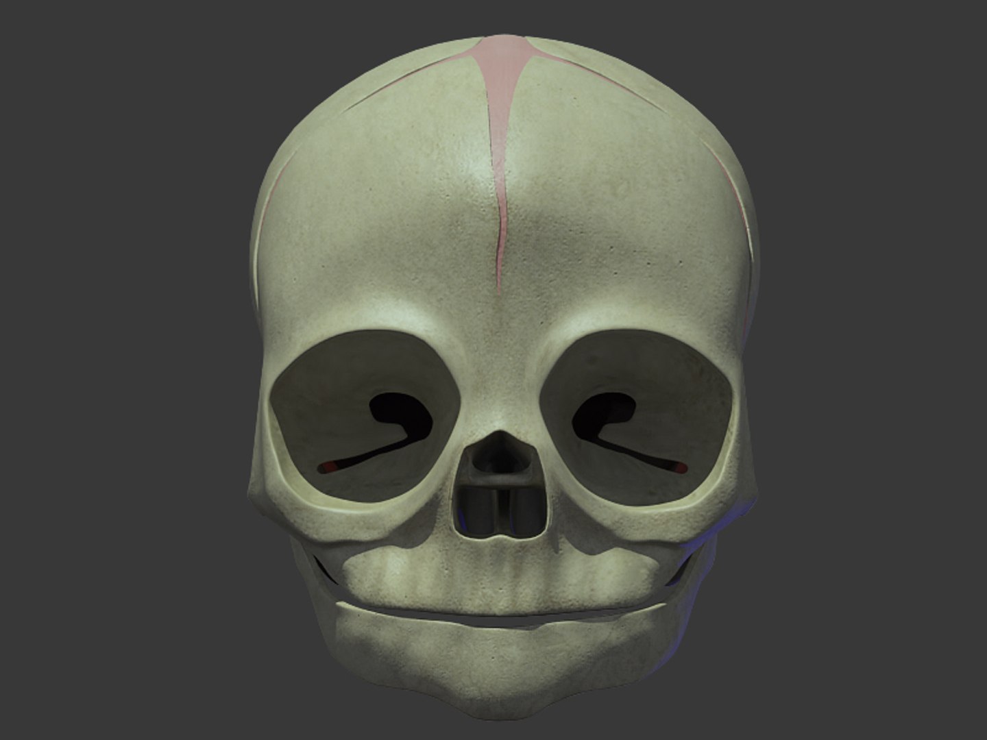 3d anatomical baby skull model https://p.turbosquid.com/ts-thumb/Cf/cTeDMB/ONg3a4lF/front/jpg/1271009837/1920x1080/fit_q87/b36e59ed2194e37a771c4c83d20a91a5d20b2046/front.jpg