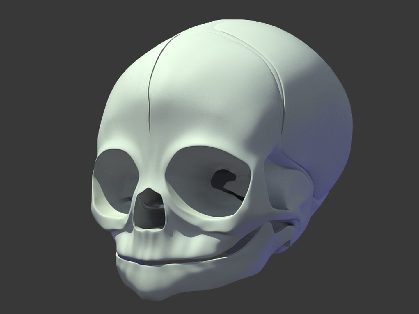 3d anatomical baby skull model https://p.turbosquid.com/ts-thumb/Cf/cTeDMB/jQT9MIGc/clay/jpg/1271009835/1920x1080/fit_q87/839982b214c229d27111edd15b841cecdf7e4e62/clay.jpg