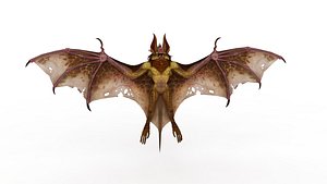 Bat monster model