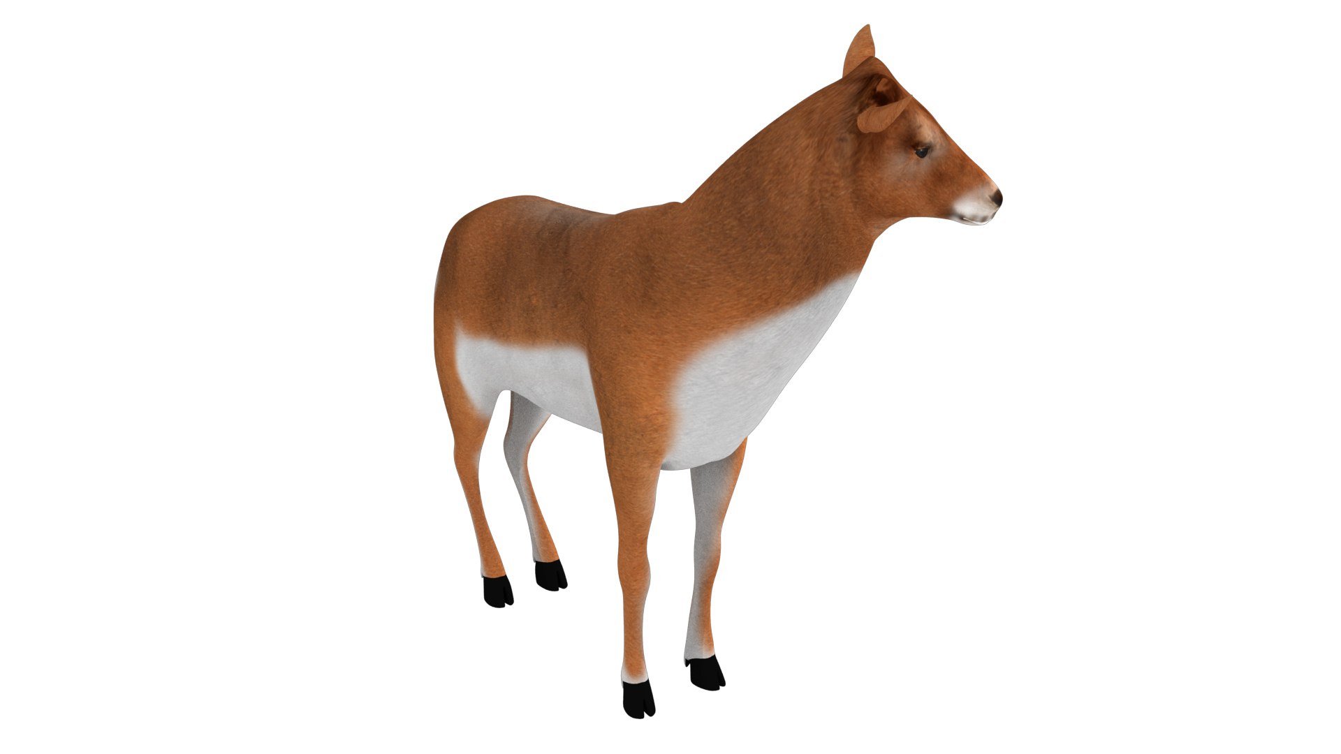 3D rigged deer animations model https://p.turbosquid.com/ts-thumb/Cf/vl8JWN/1OIPZa5u/8/jpg/1549706770/1920x1080/fit_q87/35003ec5442d866fb2d43154de27d3c510f74f8a/8.jpg