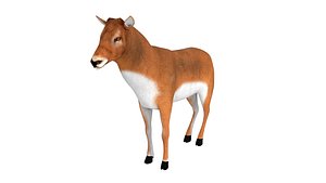 3D rigged deer animations model