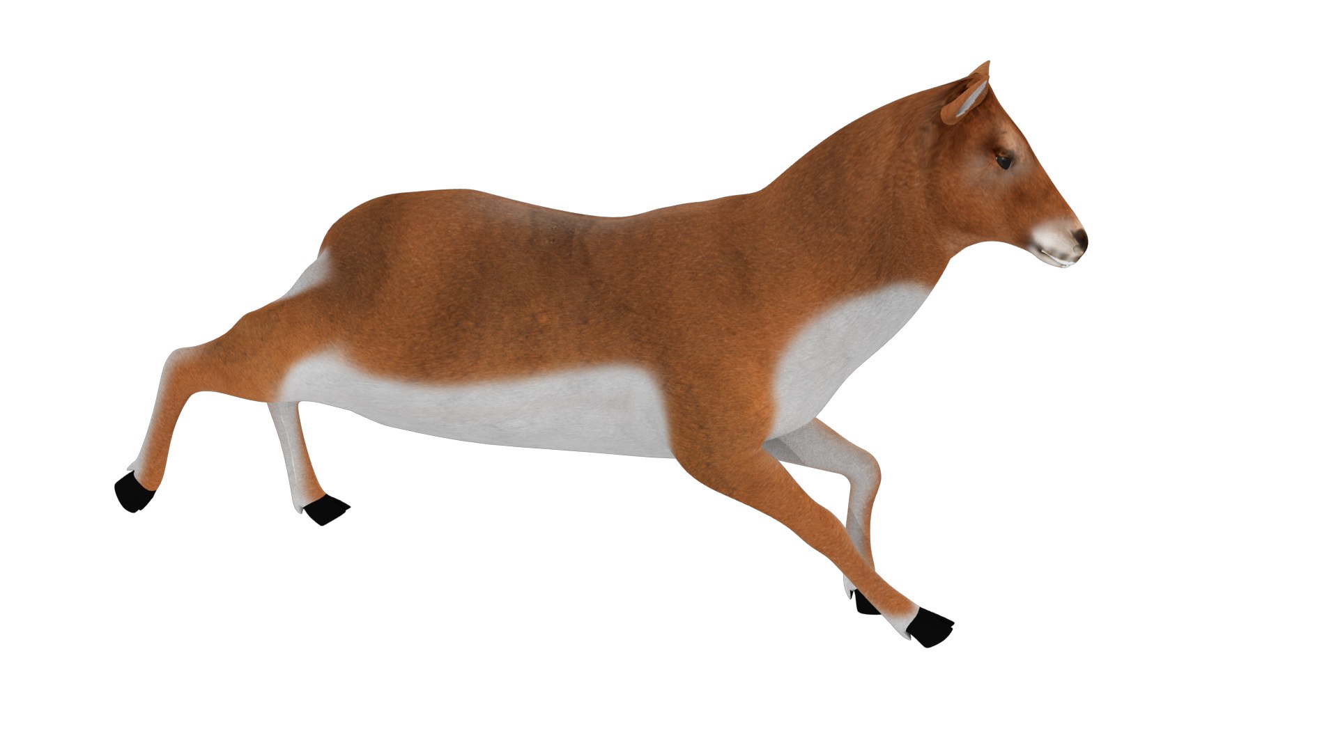 3D rigged deer animations model https://p.turbosquid.com/ts-thumb/Cf/vl8JWN/RHgdUi4G/7/jpg/1549706770/1920x1080/fit_q87/c78a56937c7adc5eed1d194455bc19b9d58b44f5/7.jpg