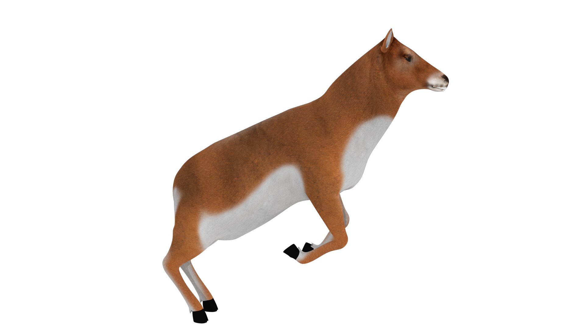3D rigged deer animations model https://p.turbosquid.com/ts-thumb/Cf/vl8JWN/hQIqwt7V/5/jpg/1549706770/1920x1080/fit_q87/0889112ff217b36c782527c2b6797db8c960ed9f/5.jpg
