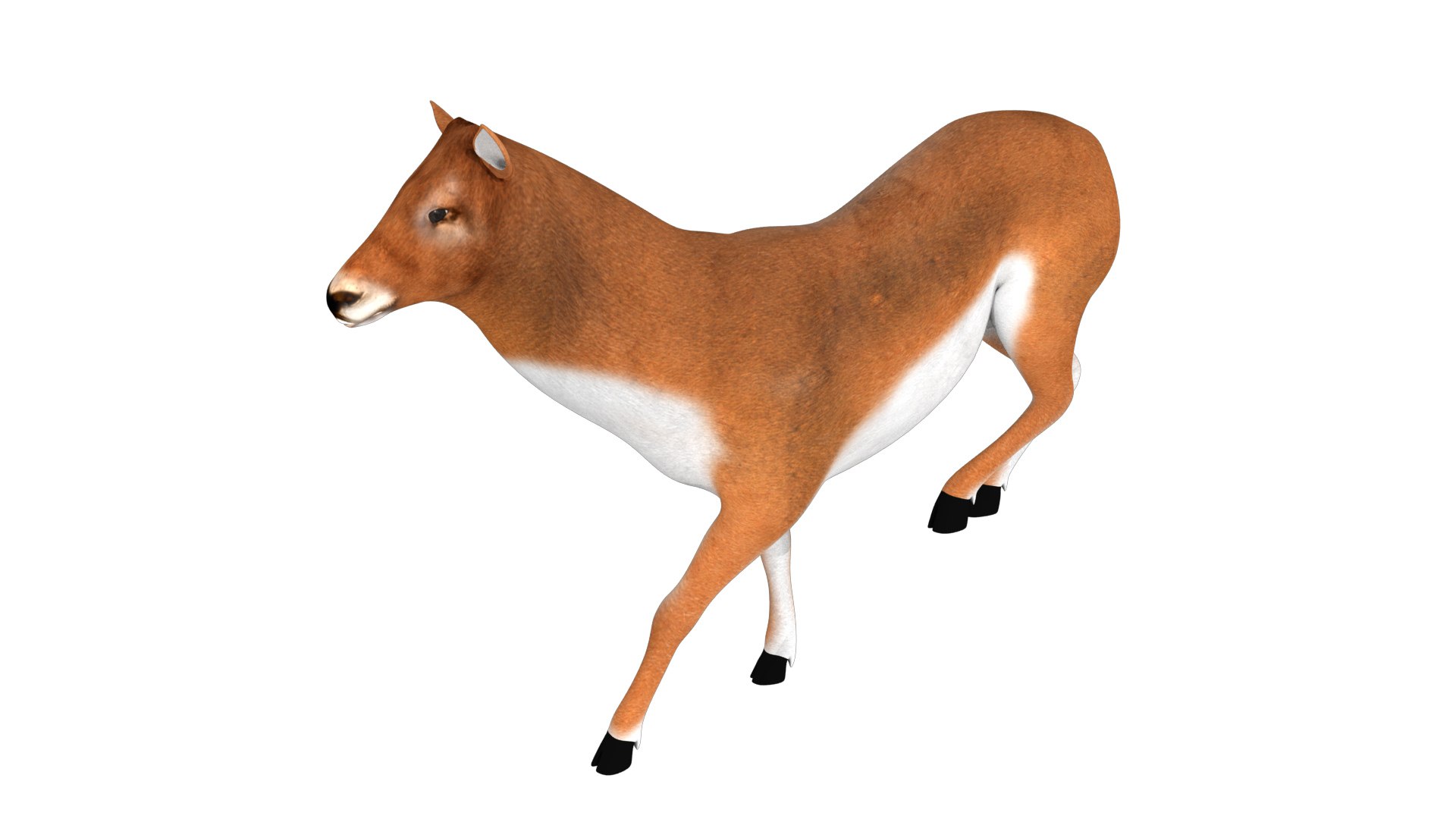 3D rigged deer animations model https://p.turbosquid.com/ts-thumb/Cf/vl8JWN/z7thoIGS/6/jpg/1549706770/1920x1080/fit_q87/e8b6b3c10c1a9a2e659e8f8f54924823184da7c3/6.jpg