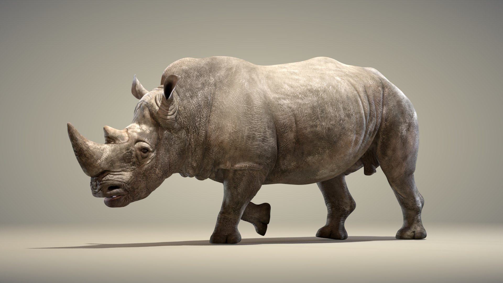 3D Big White Rhino Animated model https://p.turbosquid.com/ts-thumb/Cg/8JipUP/Dk/test_01/jpg/1621943964/1920x1080/fit_q87/c227f9503459e5e85b110cd61c082249a60a80b9/test_01.jpg