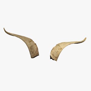 Billy Goat Horns 3D model
