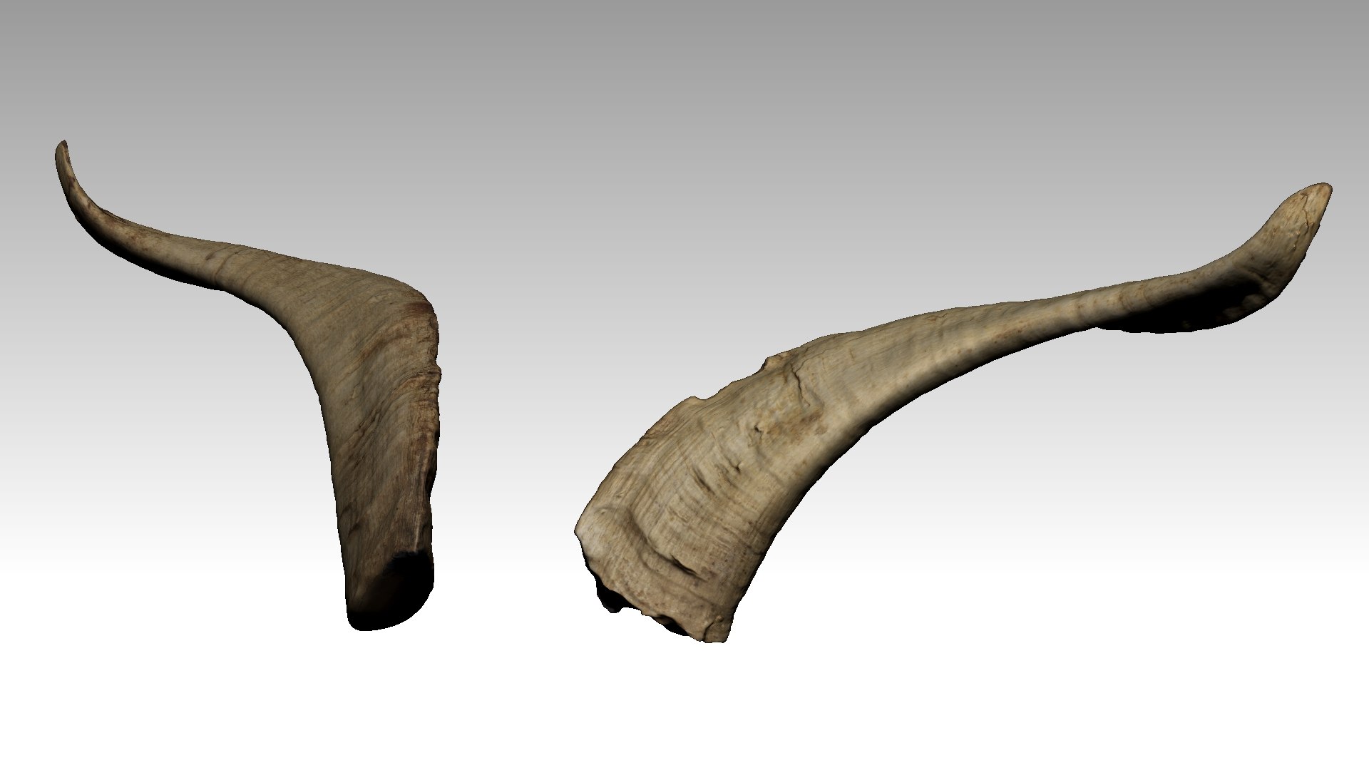 Species Spotlight: The White \u0026 Black Rhino | Akari Photo Tours, image size:1920x1080