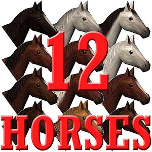 3d horse 12