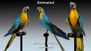 macaw parrot 3d max
