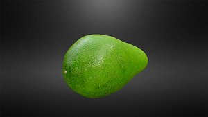 3D Avocado