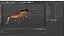 Gryllinae Rigged for Cinema 4D 3D