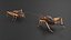 Gryllinae Rigged for Cinema 4D 3D