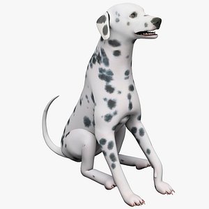 dsmax dalmatian dog pose