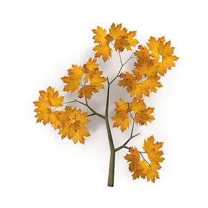 Maple Branch Yellow V1 model