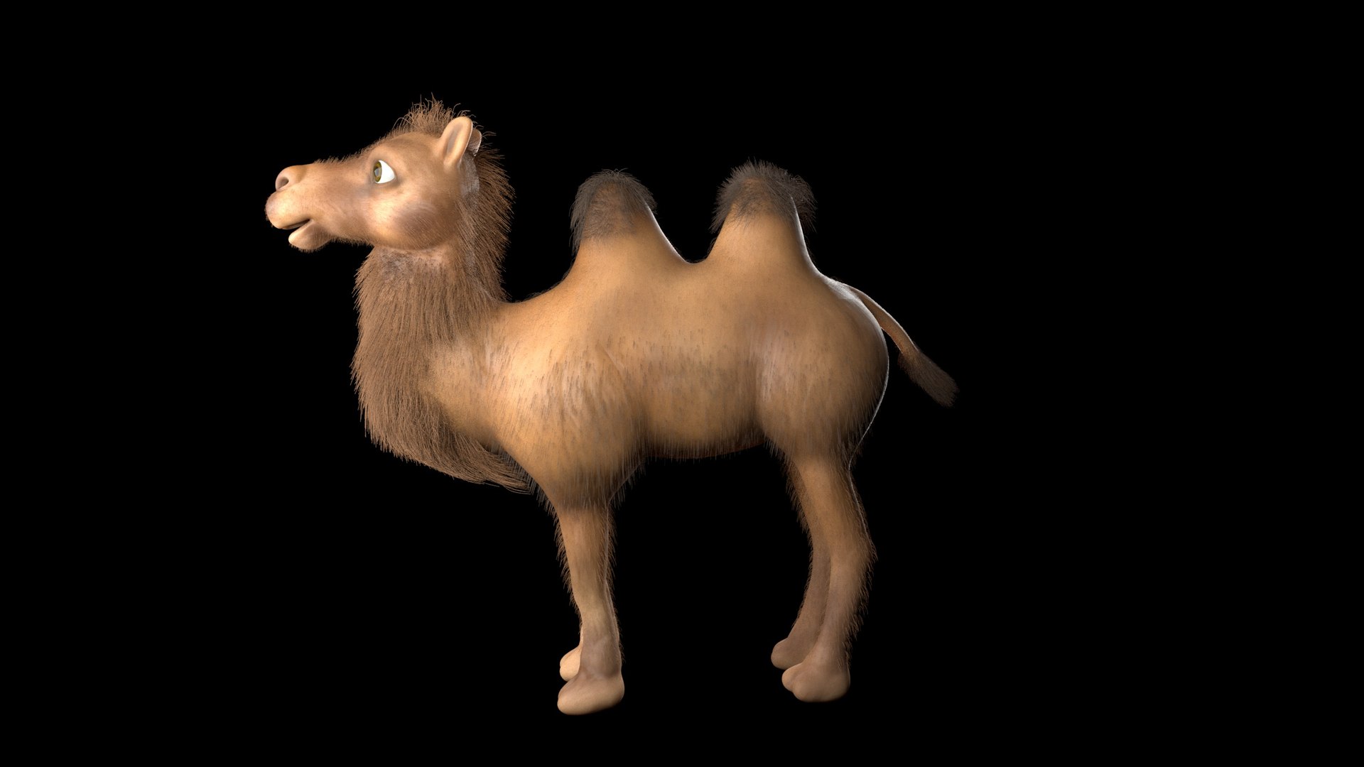 cartoon camel 3D https://p.turbosquid.com/ts-thumb/Cg/pxWTVz/GlSTraZJ/camelside/jpg/1580213906/1920x1080/fit_q87/3f746fd446db8f0162958292661ac4948ce5e1cf/camelside.jpg
