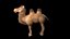 cartone animato cammello