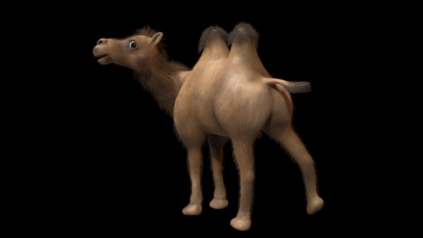 Cartoon camel 3D - TurboSquid 1501841