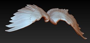 Pair of Bird / Angel / Eagle / Animal Wings
