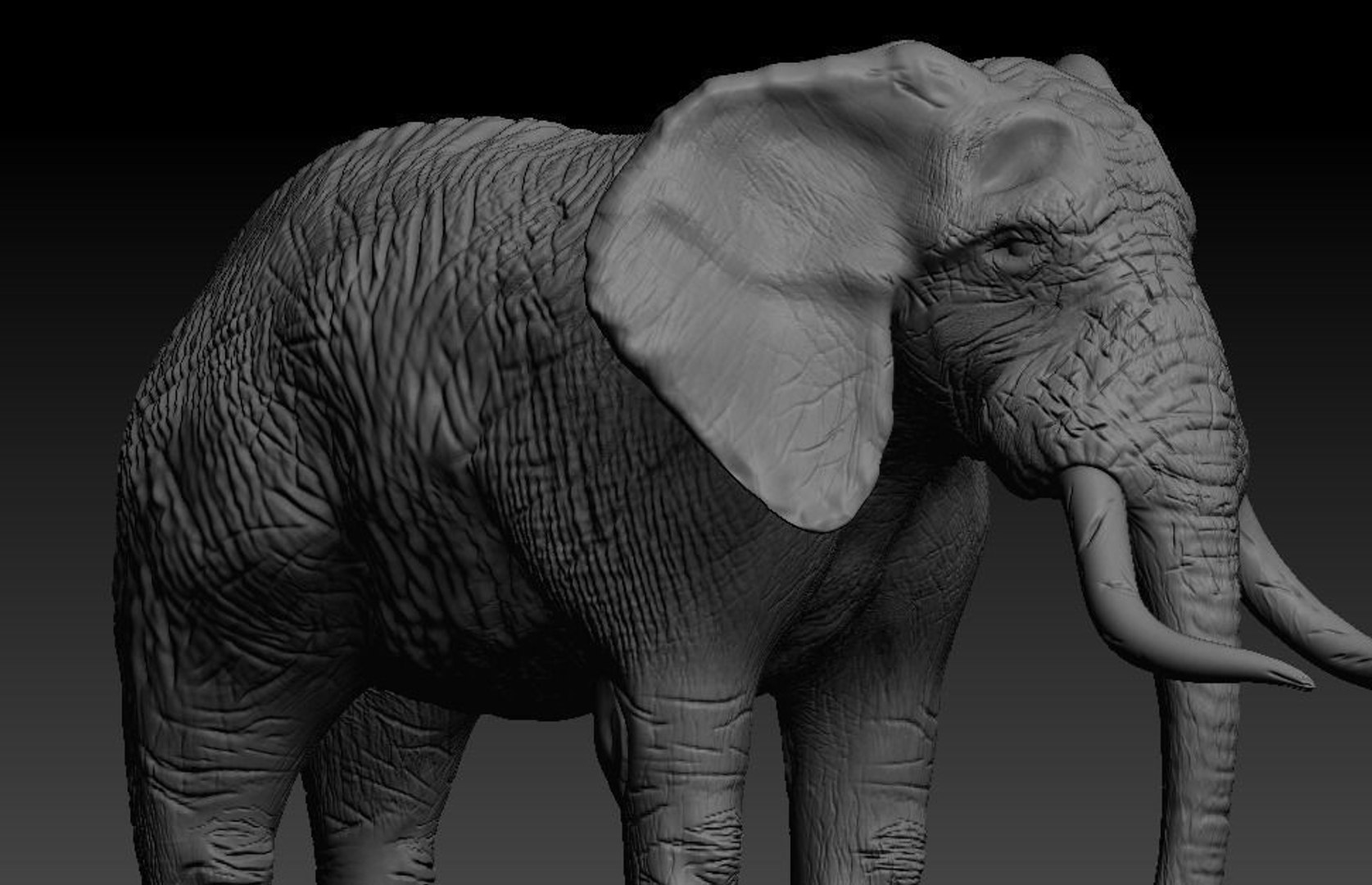 3D Model Rigged Elephant - TurboSquid 1474992