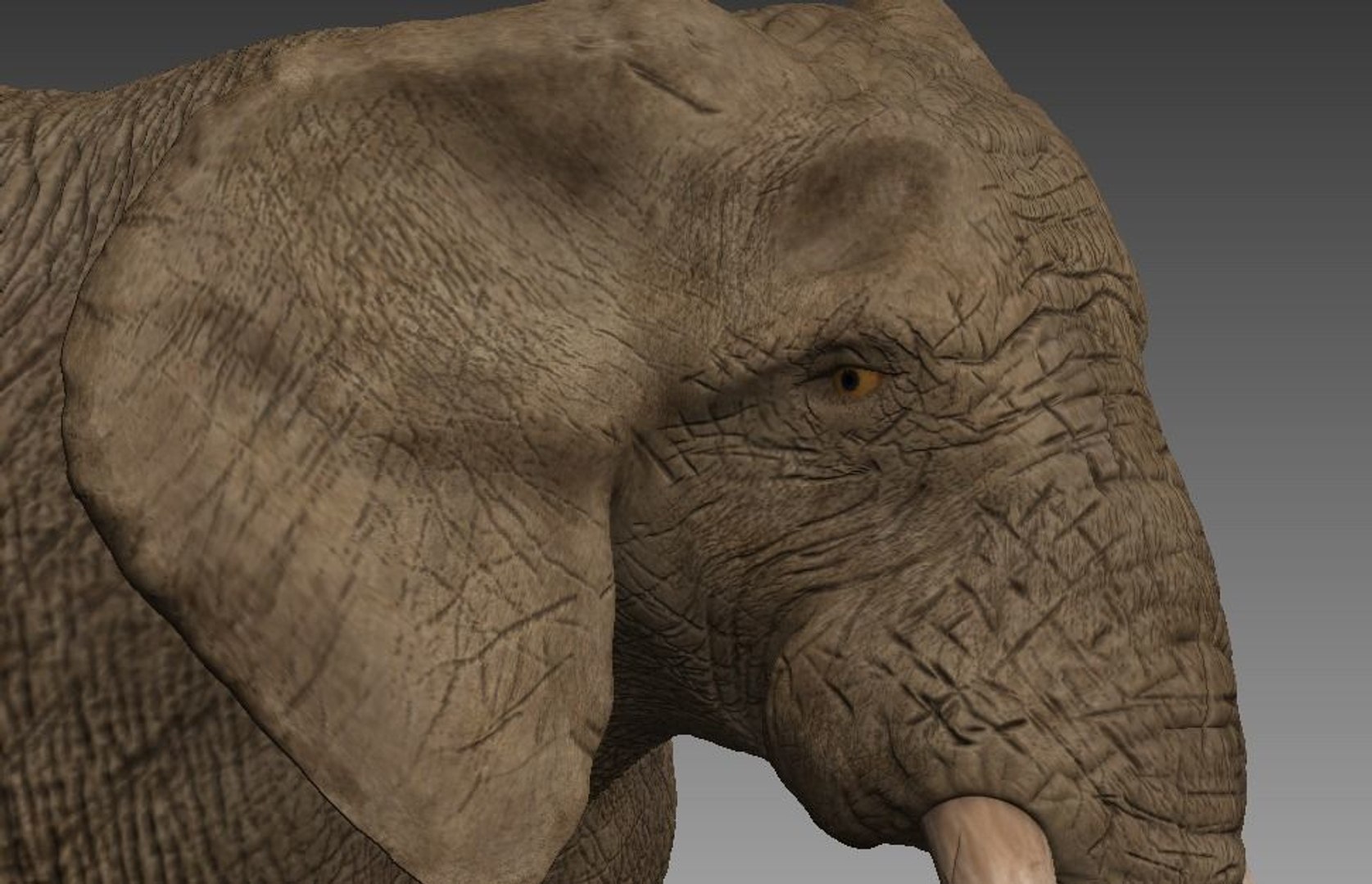 3D Model Rigged Elephant - TurboSquid 1474992