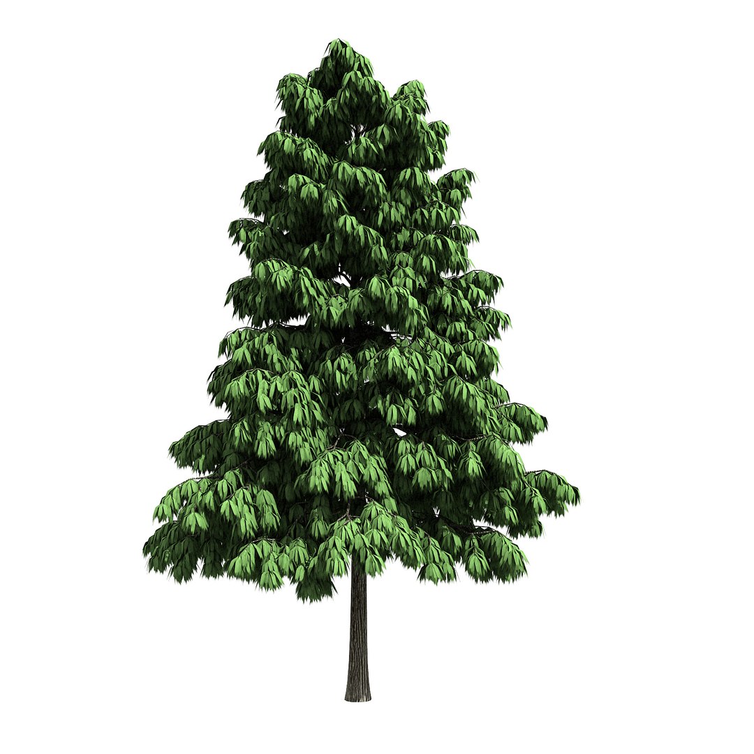 forest - medium eucalyptus 3D model https://p.turbosquid.com/ts-thumb/Ch/8LiOEN/RmiVJUKJ/3/jpg/1568775673/1920x1080/fit_q87/742329ec7fb6a5a41ab33bbb24dd885330cd4fd2/3.jpg