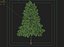 Forest - Medium Eucalyptus 85