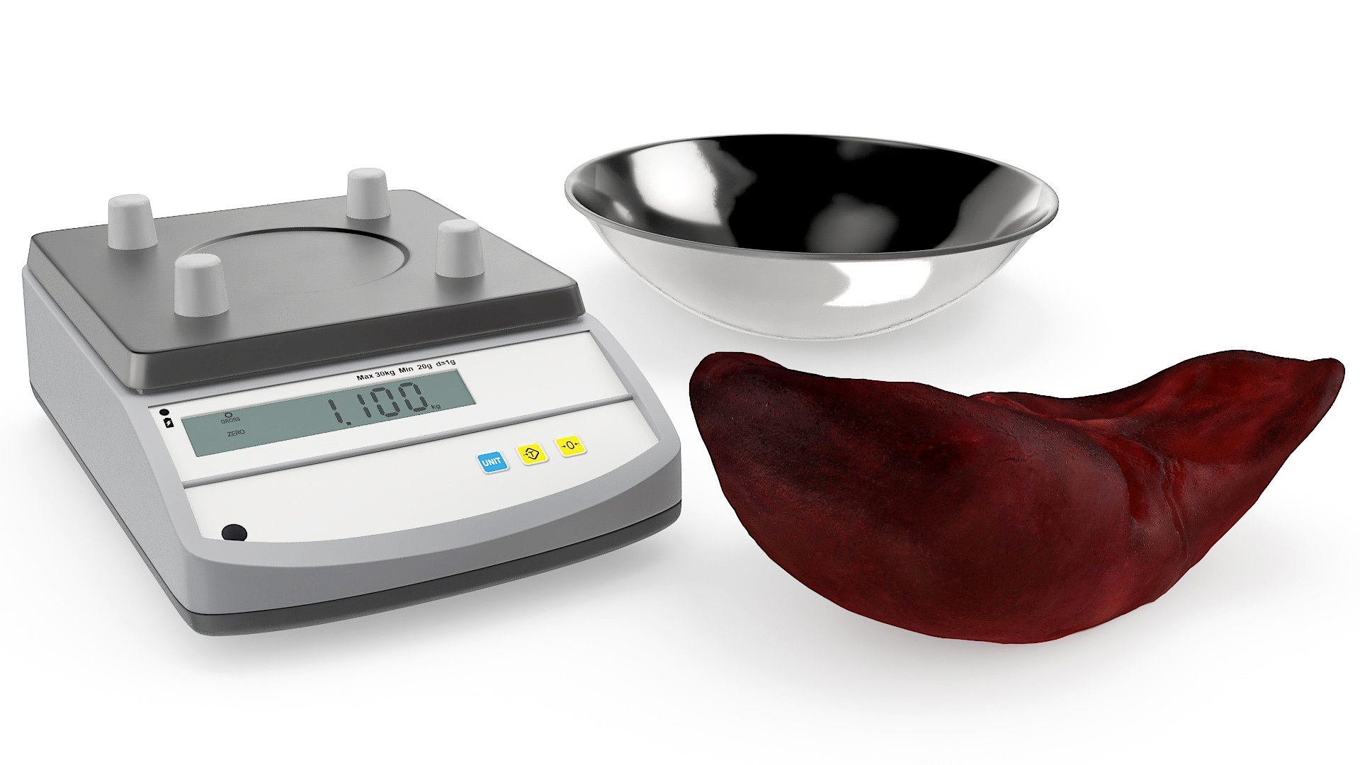 Liver On Scales 3D - TurboSquid 2384212