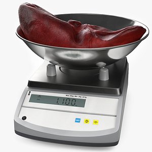 Liver on Scales 3D