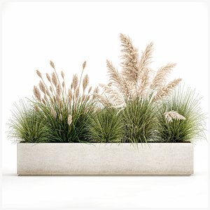 3D Potted reeds for landscaping 1077