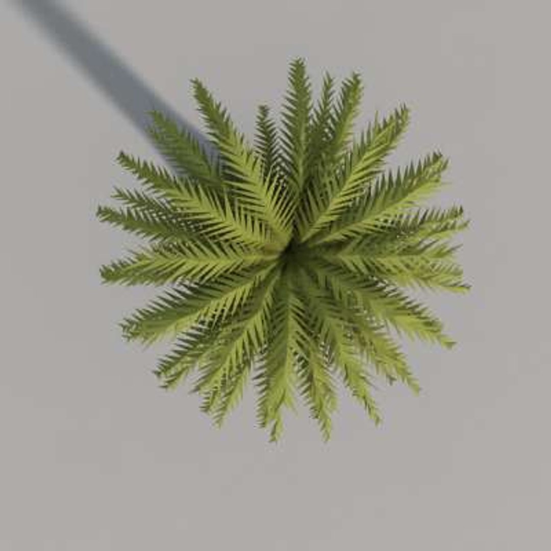 Palm Tree 3d Max