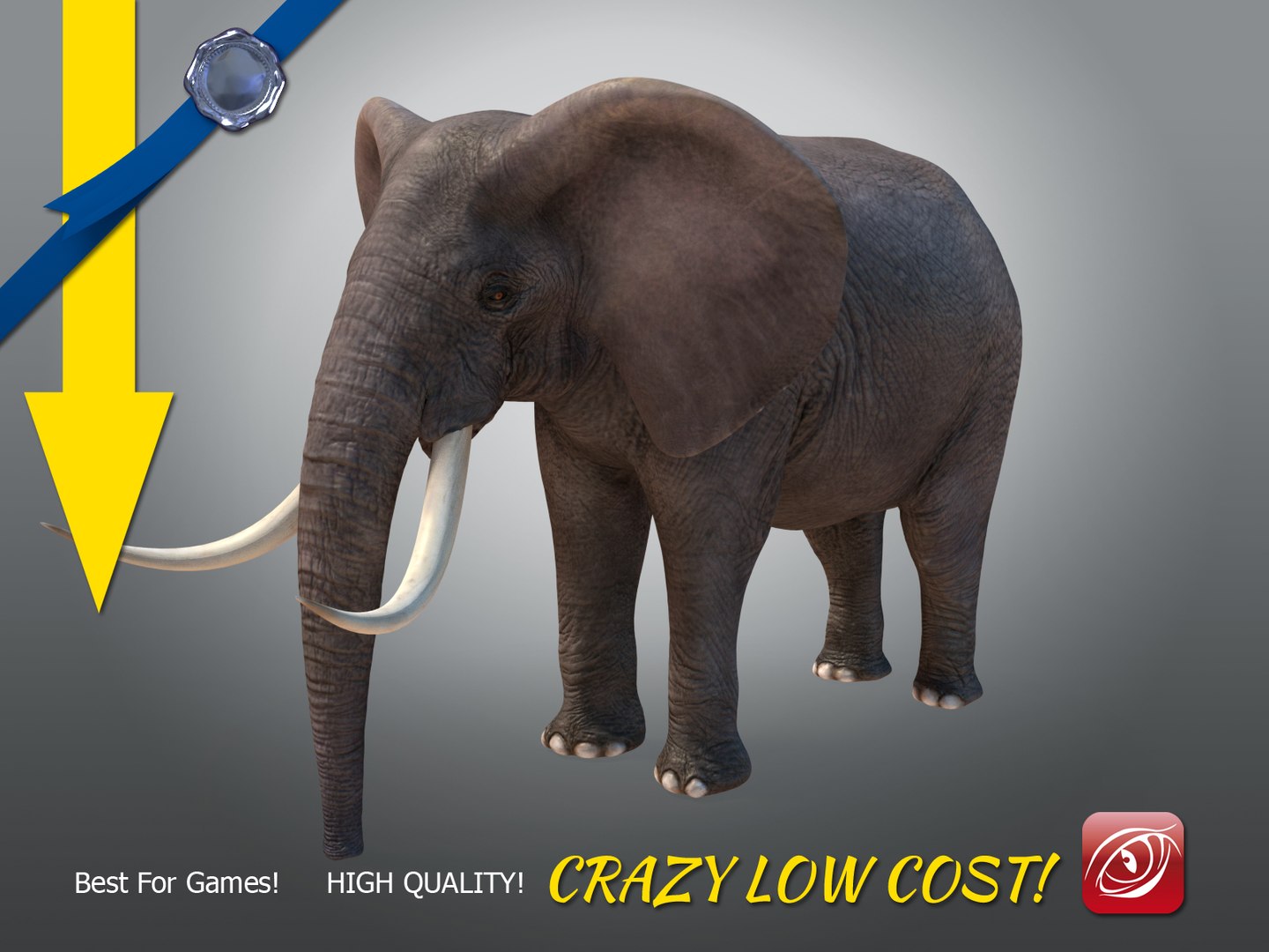 african male elephant 3D https://p.turbosquid.com/ts-thumb/Ch/NbH110/3qbjpvwN/elephantmaleatpose0003/jpg/1500359252/1920x1080/fit_q87/060a602b8e2d9637efb9c2353eeba0e19304f5b2/elephantmaleatpose0003.jpg