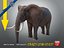 Elefante machoA T-pose
