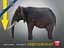 Elefante machoA T-pose