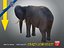 Elefante machoA T-pose