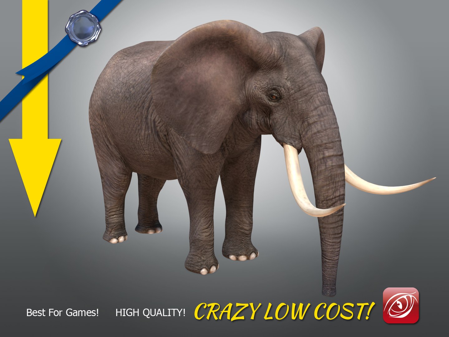 african male elephant 3D https://p.turbosquid.com/ts-thumb/Ch/NbH110/J35SFHYx/elephantmaleatpose0009/jpg/1500359303/1920x1080/fit_q87/5c1ebc40cbaa9614e657b4d0af285c09ae56bd5b/elephantmaleatpose0009.jpg