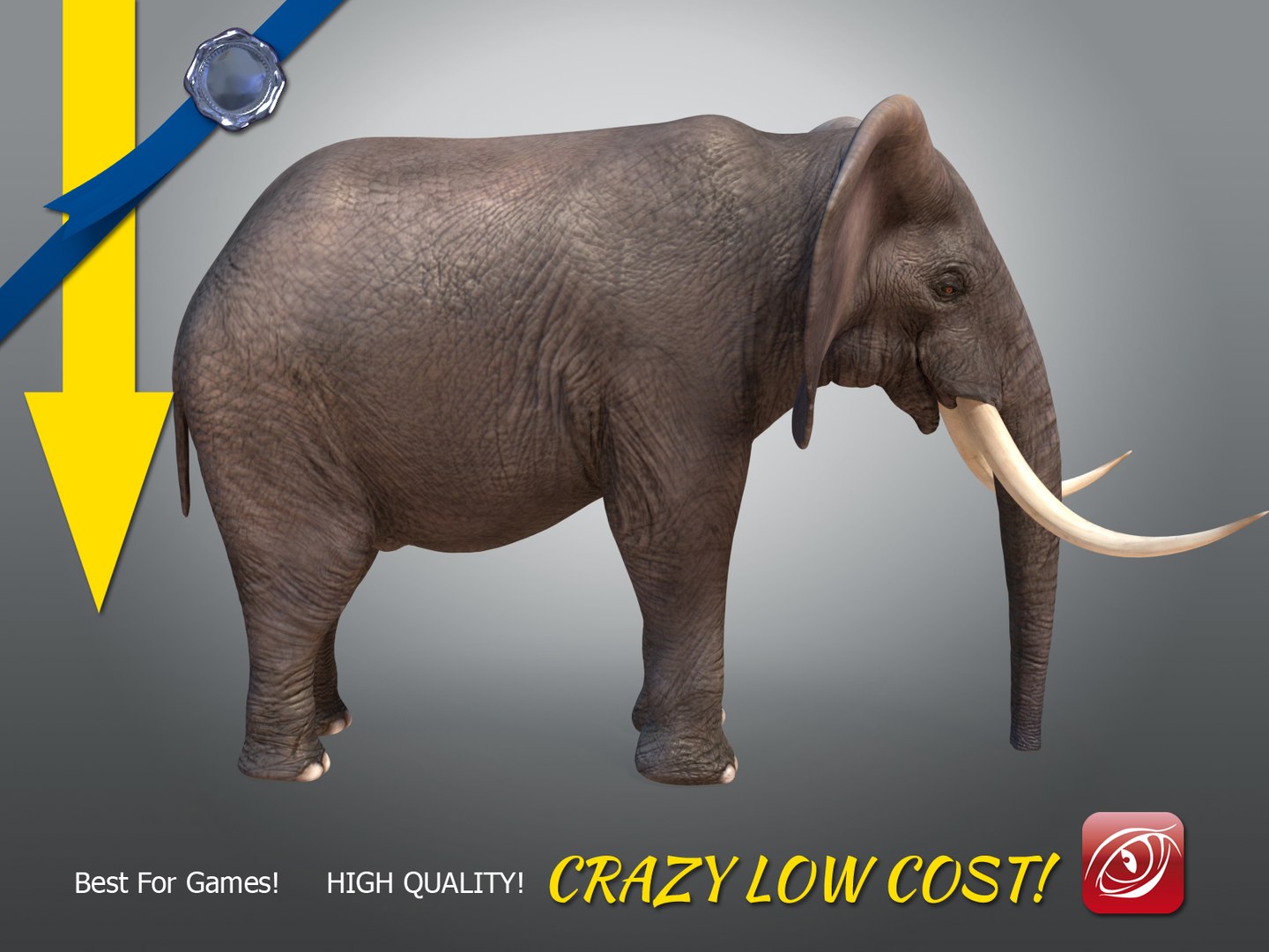 african male elephant 3D https://p.turbosquid.com/ts-thumb/Ch/NbH110/hKNTlU5D/elephantmaleatpose0008/jpg/1500359296/1920x1080/fit_q87/1cbfc081960baccba3ab3d8199085406de8901e7/elephantmaleatpose0008.jpg