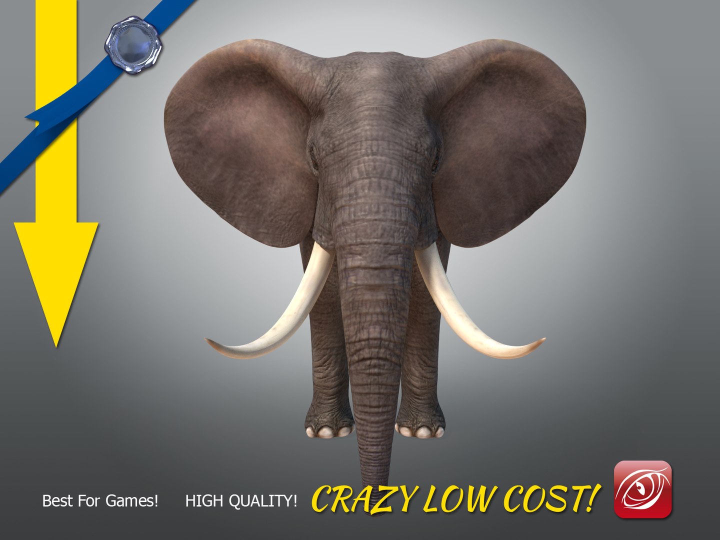 african male elephant 3D https://p.turbosquid.com/ts-thumb/Ch/NbH110/lsAHbbEY/elephantmaleatpose0002/jpg/1500359245/1920x1080/fit_q87/e63261978a636a9b47bab8243863751623d0acd3/elephantmaleatpose0002.jpg