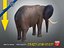 Elefante machoA T-pose