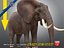 Elefante machoA T-pose