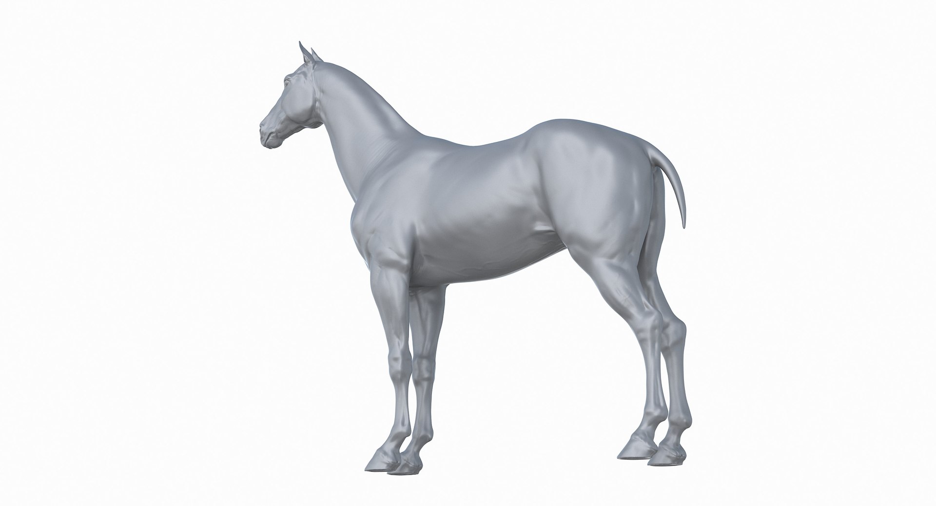 horse middle normal 3D model https://p.turbosquid.com/ts-thumb/Ch/R1KGIc/0JXVy7CX/horsemp_27/jpg/1545277690/1920x1080/fit_q87/52113145cbece9d54a50aac59fa01093dbf8c68a/horsemp_27.jpg