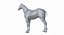 Horse Middle Poly (Normal Map Only)