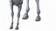 Horse Middle Poly (Normal Map Only)