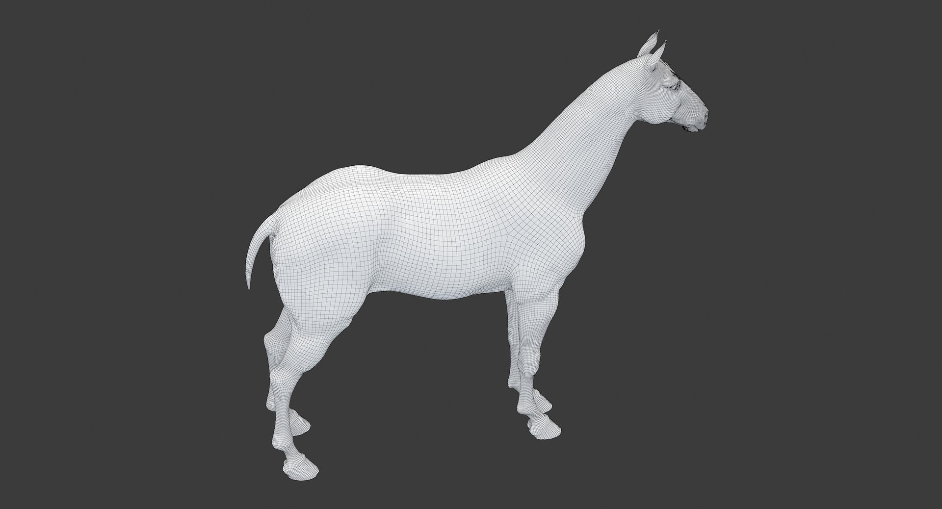 horse middle normal 3D model https://p.turbosquid.com/ts-thumb/Ch/R1KGIc/1dZbdZLm/horsemp_edges_15/jpg/1545277691/1920x1080/fit_q87/d876e502745c8e8a536ea608f1bdf942e3dad492/horsemp_edges_15.jpg