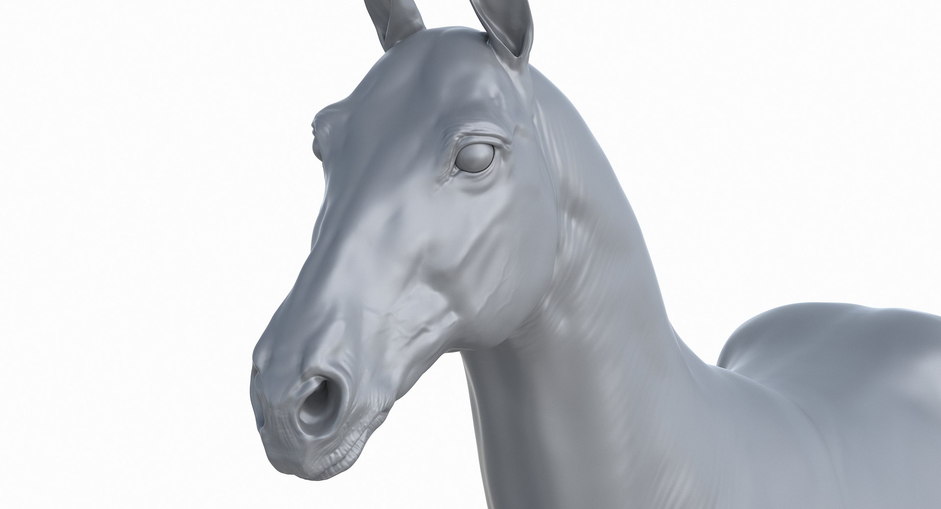 horse middle normal 3D model https://p.turbosquid.com/ts-thumb/Ch/R1KGIc/3xn1MbUx/horsemp_41/jpg/1545277691/1920x1080/fit_q87/0d25c7f82b9ed2fb9cb0af12f4e640657eb6bc22/horsemp_41.jpg