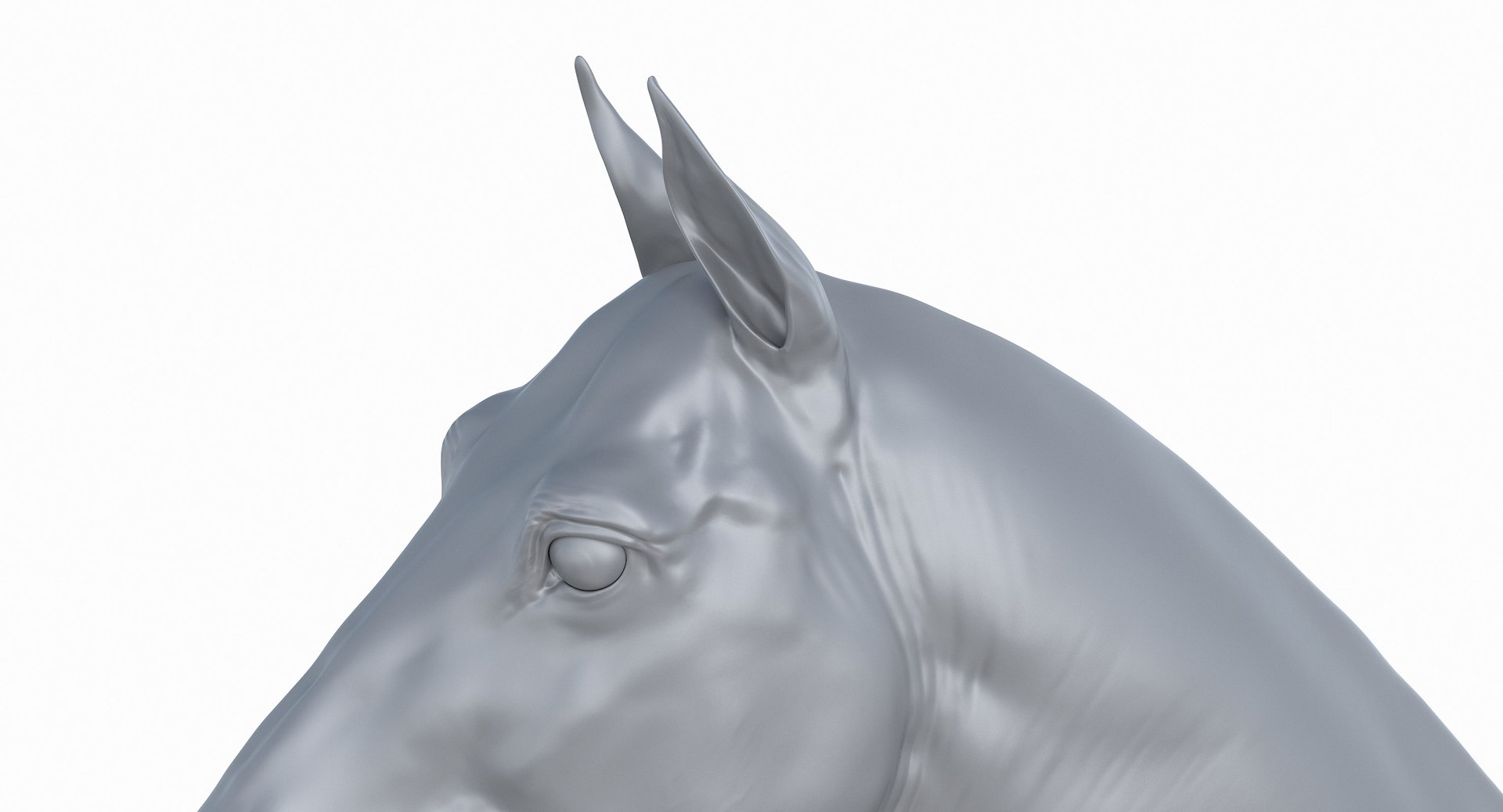 horse middle normal 3D model https://p.turbosquid.com/ts-thumb/Ch/R1KGIc/4A47c7TP/horsemp_43/jpg/1545277691/1920x1080/fit_q87/cb1bba7a8d4fe272ce4aab020ddeb66a86fa73bb/horsemp_43.jpg
