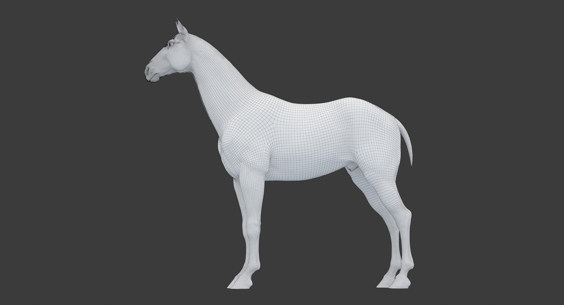 horse middle normal 3D model https://p.turbosquid.com/ts-thumb/Ch/R1KGIc/5PBubXPn/horsemp_edges_25/jpg/1545277692/1920x1080/fit_q87/5a84ffec1fc3672c000a5e3632aee1e0bb6c5cef/horsemp_edges_25.jpg