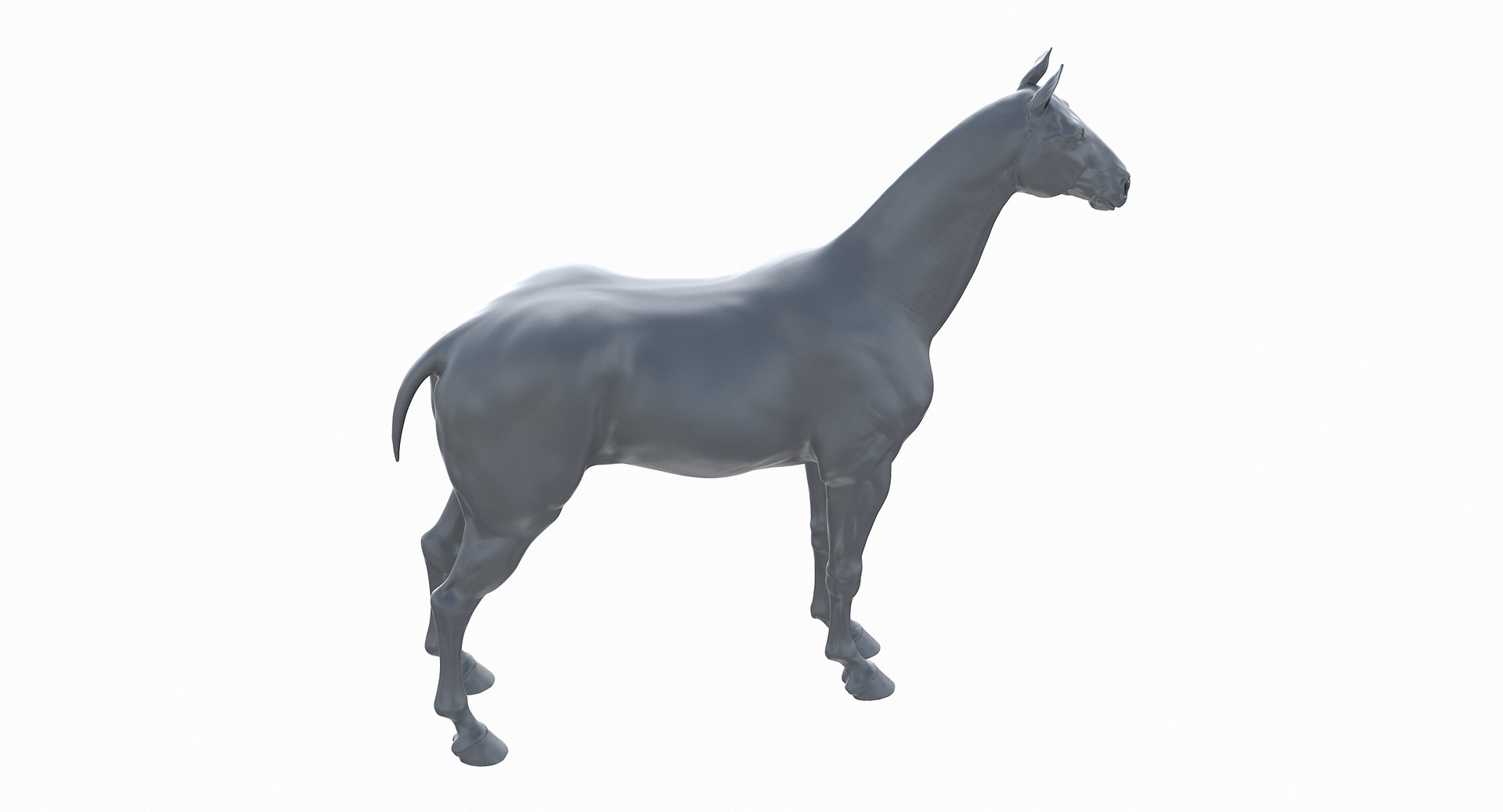 horse middle normal 3D model https://p.turbosquid.com/ts-thumb/Ch/R1KGIc/6mqRCixd/horsemp_15/jpg/1545277690/1920x1080/fit_q87/4af26da90686c462fc9e69c4ac2220d35efd64c5/horsemp_15.jpg